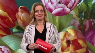 Servicezeit 02.04.2026
