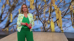 Yvonne Verwerich im Servicezeit-Studio