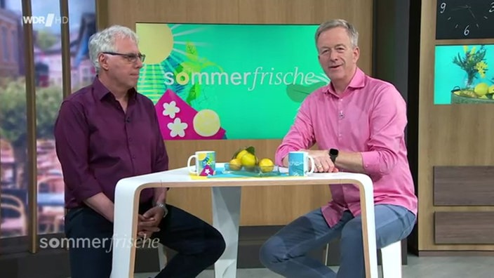 Wie teuer sind Klimaanlagen und was taugen sie?