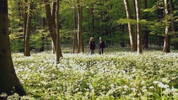 Zwei Menschen stehen im Wald