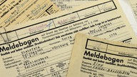Meldebögen der Spruchkammern zur Entnazifizierung liegen aufeinander