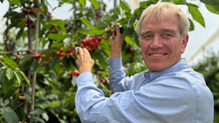 Bauer steht am Kirschbaum