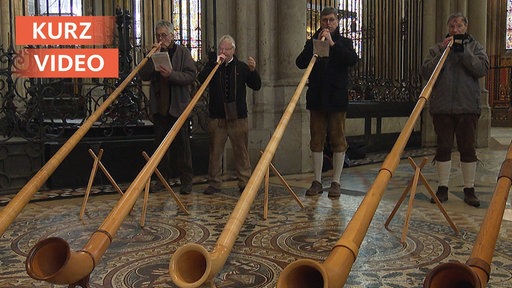 Alphornbläser im Kölner Dom