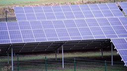 Ein grüner Zaun umschließt das Gelände mit den Solarmodulen