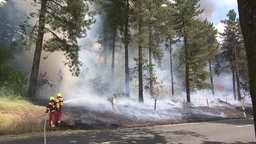 Feuerwehr löscht Waldbrand in Overath-Brombach