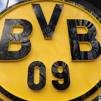 Das BVB 09 Logo 