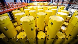 Castoren im Forschungszentrum Jülich