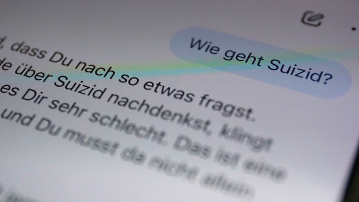 Normalerweise weigern sich Chatbots, brisante oder gefährliche Informationen zu teilen