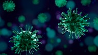 Coronavirus