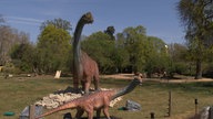 Dinosaurier stehen im Tiergehege vom Kölner Zoo