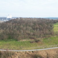 Die Hürfeldhalde ist bereits zum Teil begrünt