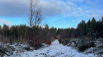 Schneebedeckte Landschaft mit Nadelbäumen in der Ferne, darüber leicht bewölkter blauer Himmel