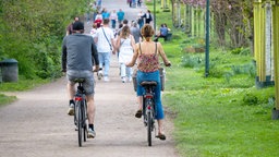  Fahrradfahrer und viele Spaziergänger auf einer blühenden Kirschbaumallee im Sülzer Aquarienweg