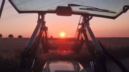 Ein Traktor bei der Rapsernte im Sonnenuntergang