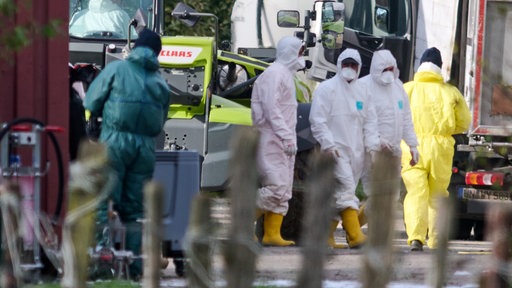 24.10.2025, Rees, NRW: Mehrere Personen in Schutzanzügen laufen auf dem Gelände eines landwirtschaftlichen Betriebs