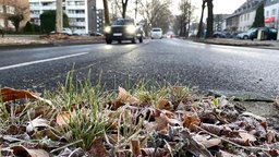 Auto auf gefrorener Straße 