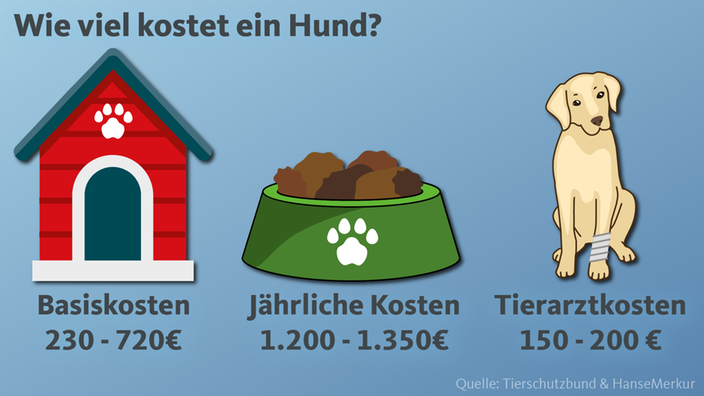 Grafik Hundekosten 