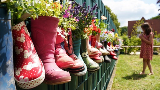Bunte, ausgediente Stiefel hängen frisch bepflanzt in langer Reihe an einem grünen Gartenzaun.