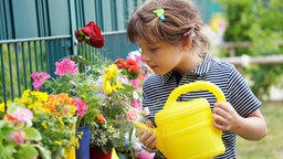 Ein Mädchen aus der KiTa gießt mit gelber Gießkanne die frisch gepflanzten Blumen in den Gummistiefeln. 