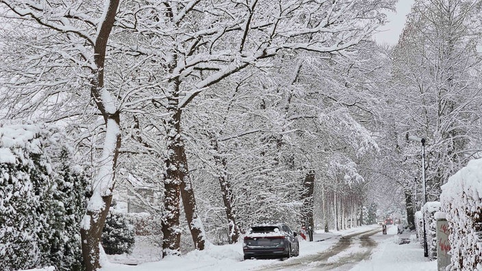 Eine veschneite Allee