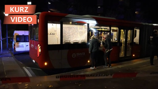 In der Halloweennacht: Angriffe auf Busse in Bonn | TN