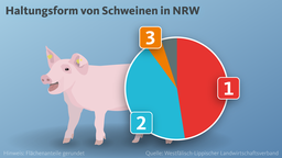 Anteil der Haltungsformen von Schweinen