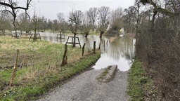 Hochwasser bei Urdenbacher Kämpe zwischen Monheim und Düsseldorf