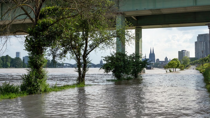 Vom Hochwasser überfluteter Fußweg auf Höhe der Zoobrücke