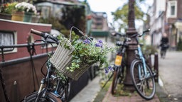 Ein Fahrrad mit Blumen im Korb steht an einem Kanal in Amsterdam.