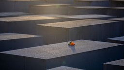 Eine Rose liegt auf einer Stele des Denkmals für die ermordeten Juden Europas