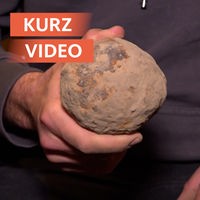 Kurioses Fundstück
