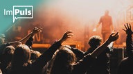 Menschen auf einem Konzert
