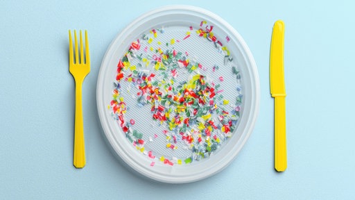 Mikroplastik auf dem Teller