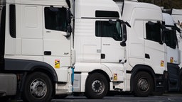 Lastwagen stehen auf einer Rastanlage an der Autobahn