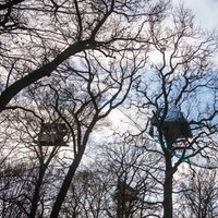 Aktivisten haben im Hambacher Forst Baumhäuser gebaut