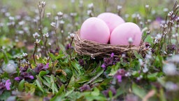 Ostereier auf einr Wildblumenwiese