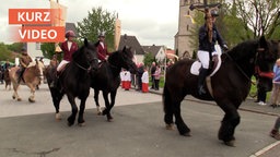 Traditionelle Pferdeprozession im Sauerland | Kurzvideo | tn