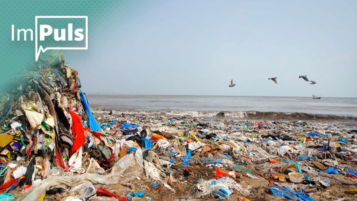 TN | Plastik im Meer