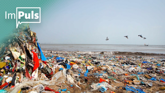 TN | Plastik im Meer