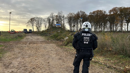 Räumung des Sündenwäldchens 