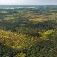 Sehenswürdigkeit und Tourismus- Attraktion des Geschichts- Denkmal und Ehrenfriedhofes im Waldgebiet " Reichswald Forest War Cemetery " an der Grunewaldstraße in Klev