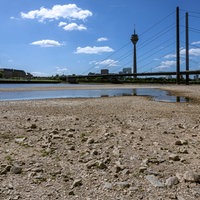 Rhein hat Niedrigwasser