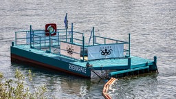 Die Müllfalle "Rheinkrake" im Rhein in Köln nördlich der Zoobrücke