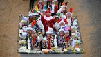 Grüße vom Wagen im Rosenmontagszug 