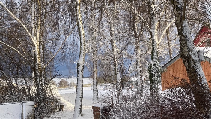 Weiße Felder und schneebedeckte Äste im Kreis Höxter