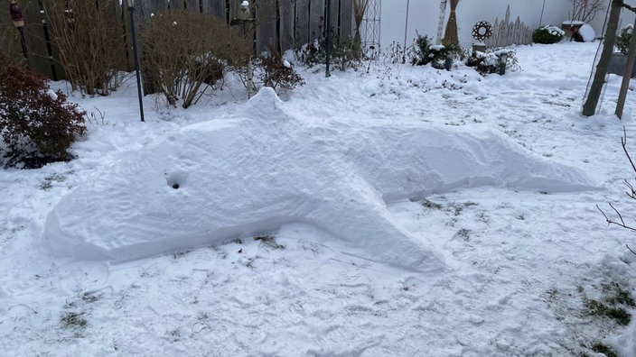 In Dortmund liegt ein Orca aus Schnee im Garten