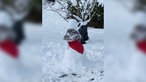 Schnee-Dame an der Südseite des Wiehengebirges bei Hüllhorst