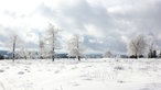 Schnee liegt auf Bäumen und Sträuchern am Kahlen Asten.