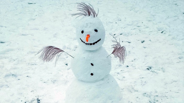 Die beiden Zwillinge Max und Moritz (10) aus Millrath haben diesen sympathisch schauenden Schneemann gebaut. 