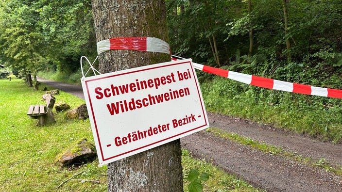 Ein Schild warnt vor dem Ausbruch der Afrikanischen Schweinepest bei Wildschweinen